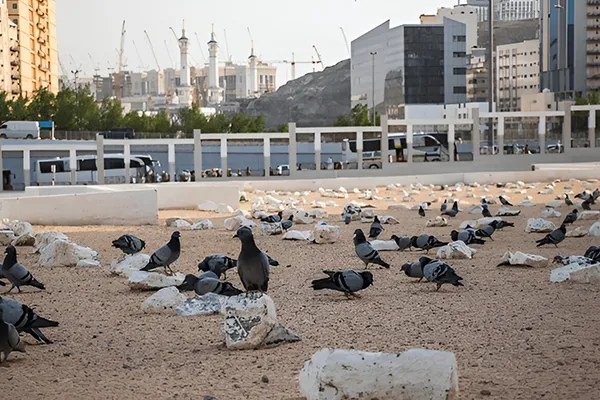 3 Star 10 Nights Umrah Package Edinburgh